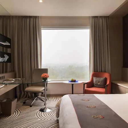 Sheraton New Delhi Hotel-3